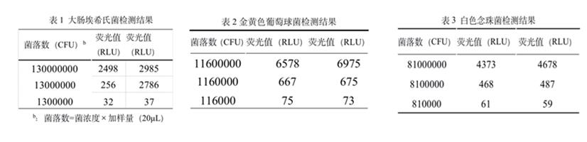 白底_副本_副本.jpg